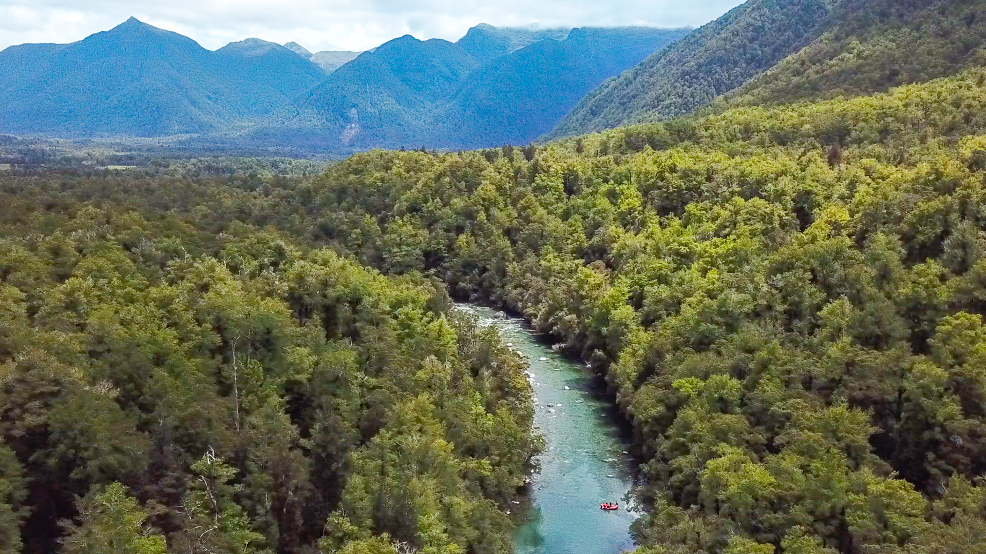 Remote gorge country on the Upper Grey / Māwheranui